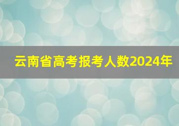 云南省高考报考人数2024年