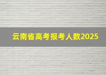 云南省高考报考人数2025