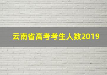 云南省高考考生人数2019