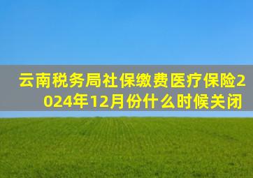 云南税务局社保缴费医疗保险2024年12月份什么时候关闭