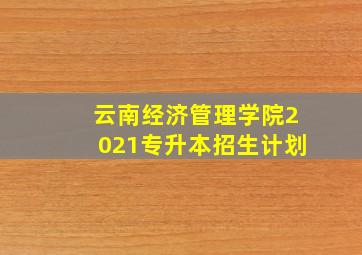 云南经济管理学院2021专升本招生计划