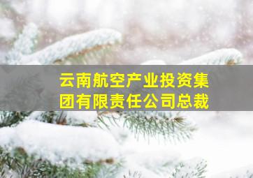 云南航空产业投资集团有限责任公司总裁