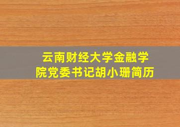 云南财经大学金融学院党委书记胡小珊简历