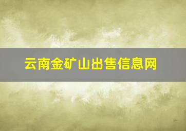 云南金矿山出售信息网