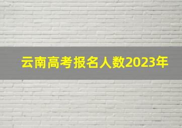 云南高考报名人数2023年