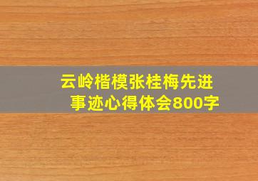 云岭楷模张桂梅先进事迹心得体会800字