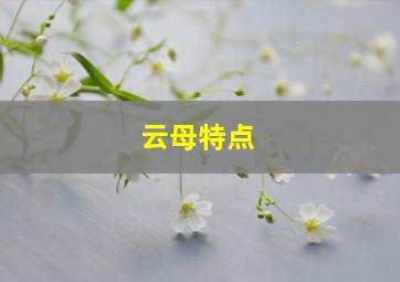 云母特点