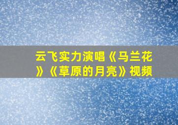 云飞实力演唱《马兰花》《草原的月亮》视频