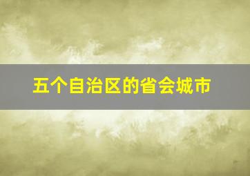 五个自治区的省会城市