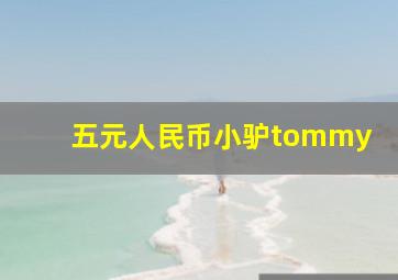 五元人民币小驴tommy