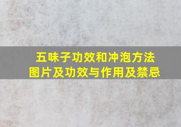 五味子功效和冲泡方法图片及功效与作用及禁忌