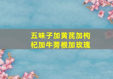 五味子加黄芪加枸杞加牛蒡根加玫瑰