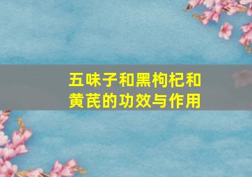 五味子和黑枸杞和黄芪的功效与作用