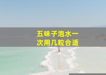 五味子泡水一次用几粒合适