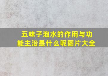 五味子泡水的作用与功能主治是什么呢图片大全