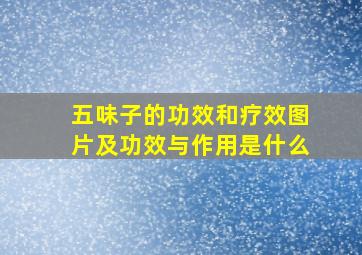 五味子的功效和疗效图片及功效与作用是什么