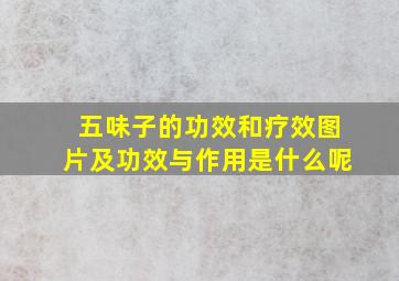 五味子的功效和疗效图片及功效与作用是什么呢