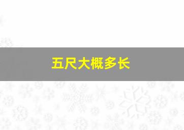 五尺大概多长