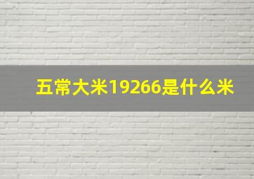 五常大米19266是什么米