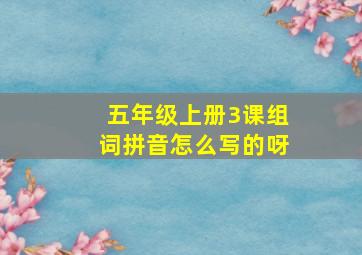 五年级上册3课组词拼音怎么写的呀