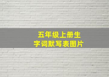 五年级上册生字词默写表图片