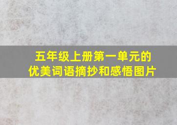 五年级上册第一单元的优美词语摘抄和感悟图片