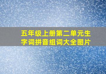 五年级上册第二单元生字词拼音组词大全图片