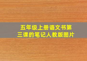 五年级上册语文书第三课的笔记人教版图片