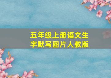 五年级上册语文生字默写图片人教版