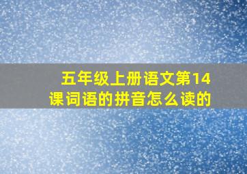 五年级上册语文第14课词语的拼音怎么读的