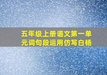 五年级上册语文第一单元词句段运用仿写白杨