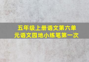 五年级上册语文第六单元语文园地小练笔第一次