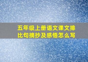 五年级上册语文课文排比句摘抄及感悟怎么写