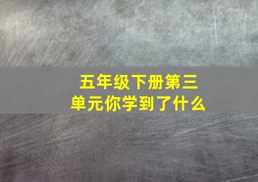 五年级下册第三单元你学到了什么