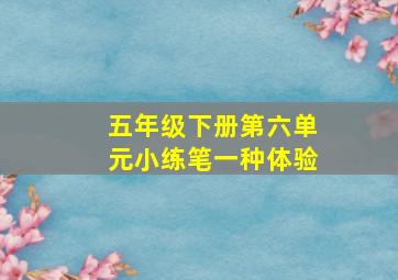 五年级下册第六单元小练笔一种体验