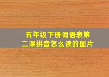 五年级下册词语表第二课拼音怎么读的图片