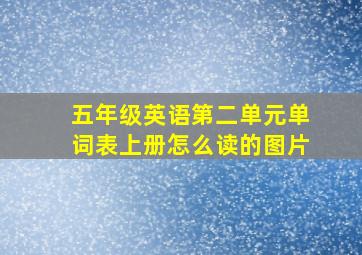 五年级英语第二单元单词表上册怎么读的图片