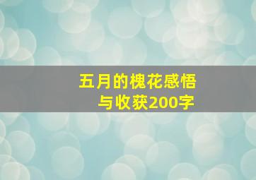 五月的槐花感悟与收获200字