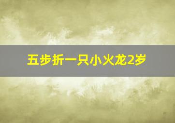 五步折一只小火龙2岁