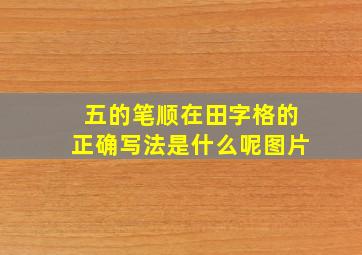 五的笔顺在田字格的正确写法是什么呢图片