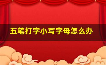 五笔打字小写字母怎么办