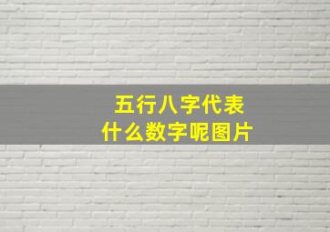 五行八字代表什么数字呢图片