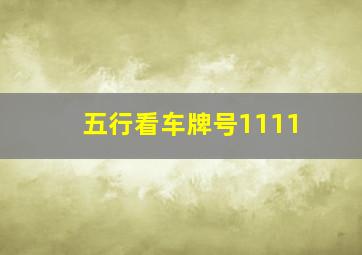 五行看车牌号1111