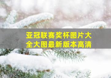 亚冠联赛奖杯图片大全大图最新版本高清