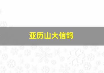 亚历山大信鸽