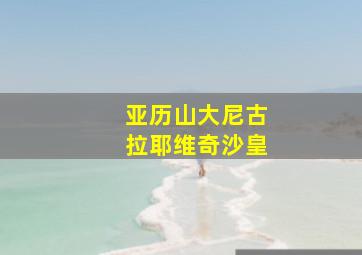 亚历山大尼古拉耶维奇沙皇