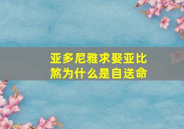 亚多尼雅求娶亚比煞为什么是自送命