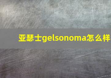 亚瑟士gelsonoma怎么样