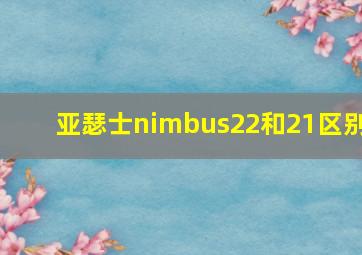 亚瑟士nimbus22和21区别