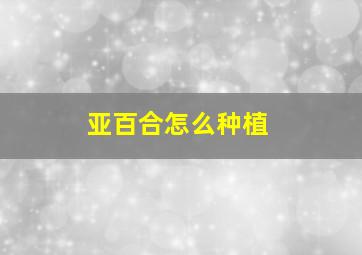 亚百合怎么种植